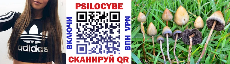 закладка  Староминская  Псилоцибиновые грибы мухоморы 